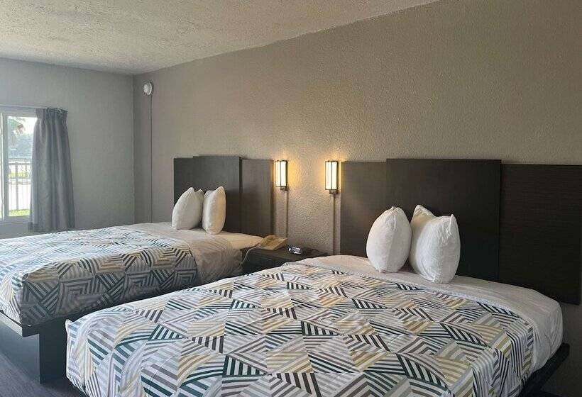 デラックスルーム, Studio 6 Lake Jackson, Tx