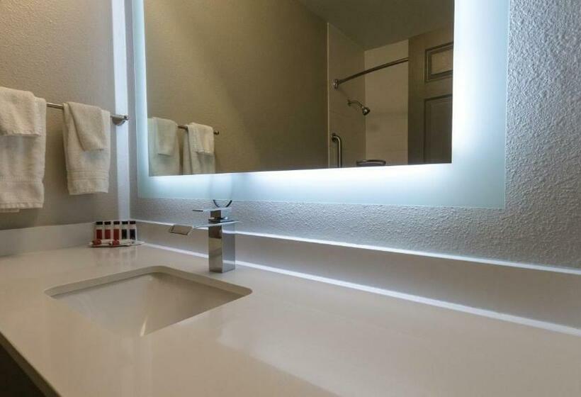 غرفة قياسية, Super 8 By Wyndham Santa Cruz/beach Boardwalk East