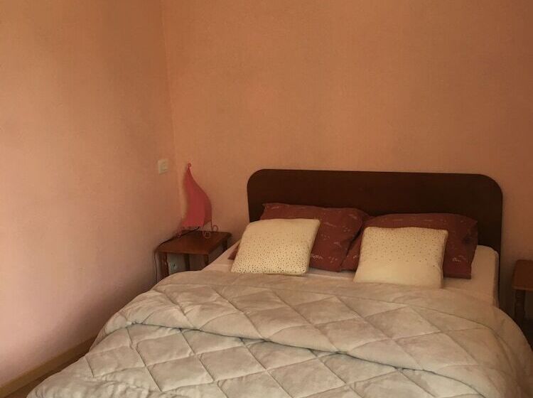 标准间, Le Palmyre Soleil De L'amazonie