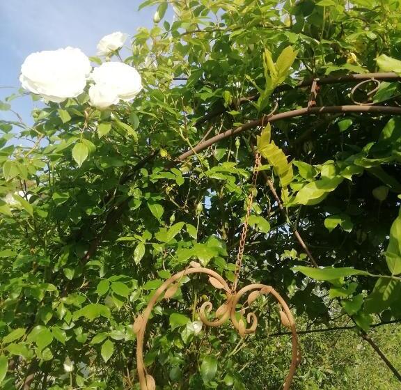 Номер Стандарт, Maison Du Cheval