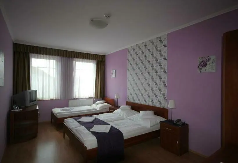 Standard Kolmen Hengen Huone, Patonai