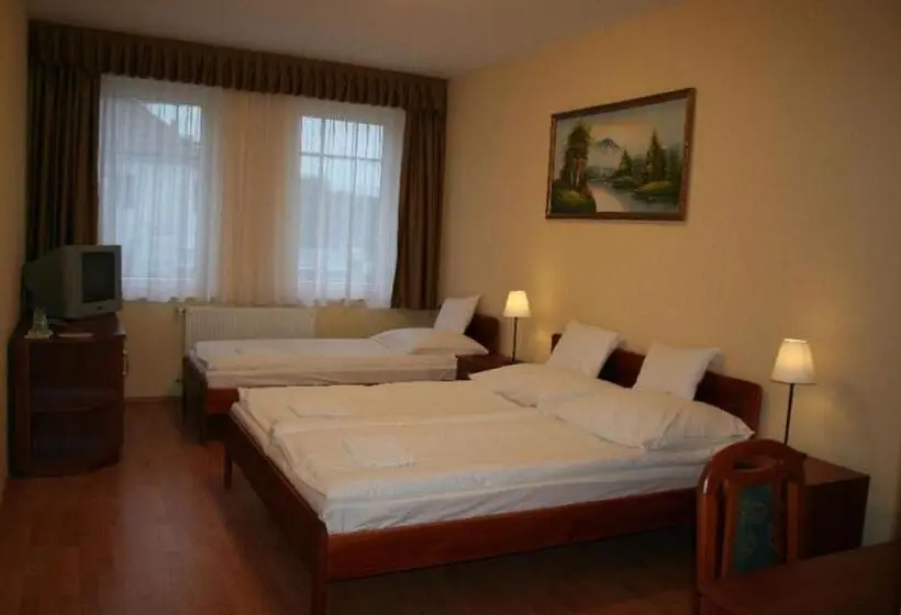 Standard Kolmen Hengen Huone, Patonai