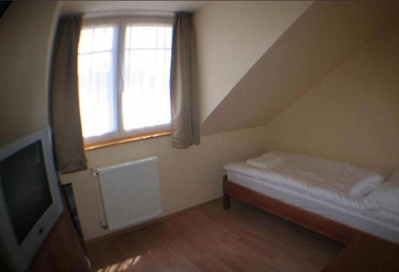 Basic Værelse, Patonai