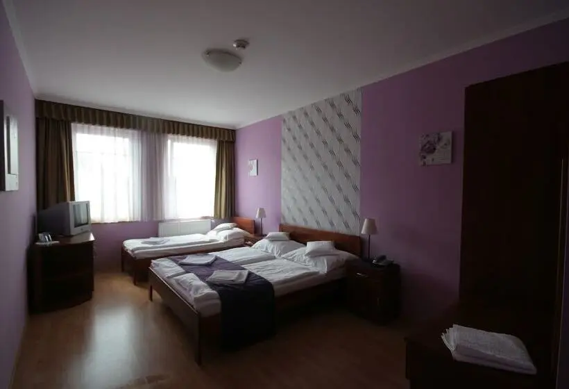 Standard Kolmen Hengen Huone, Patonai