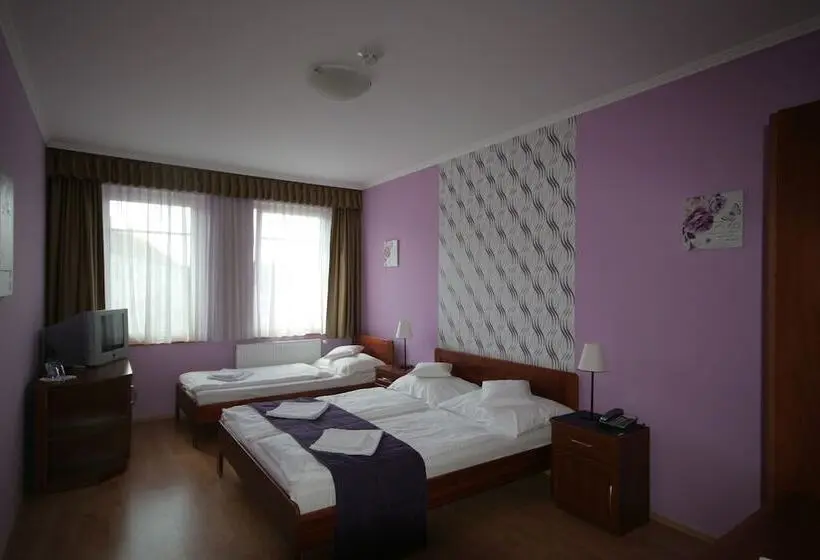 Standard Kolmen Hengen Huone, Patonai