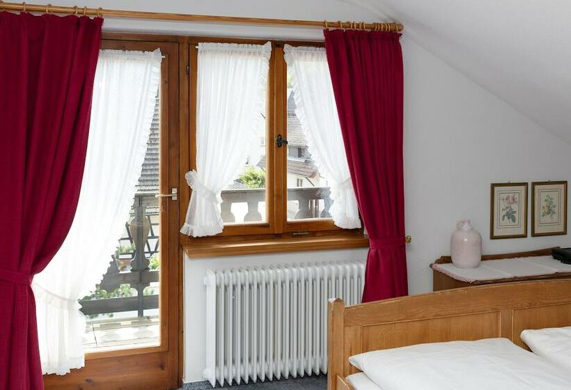 1ベッドルームのコンフォーとアパートメント, Gasthaus Adler