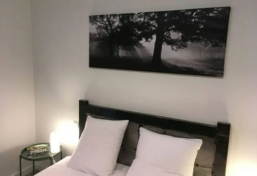 Camera Basic, O'lodge