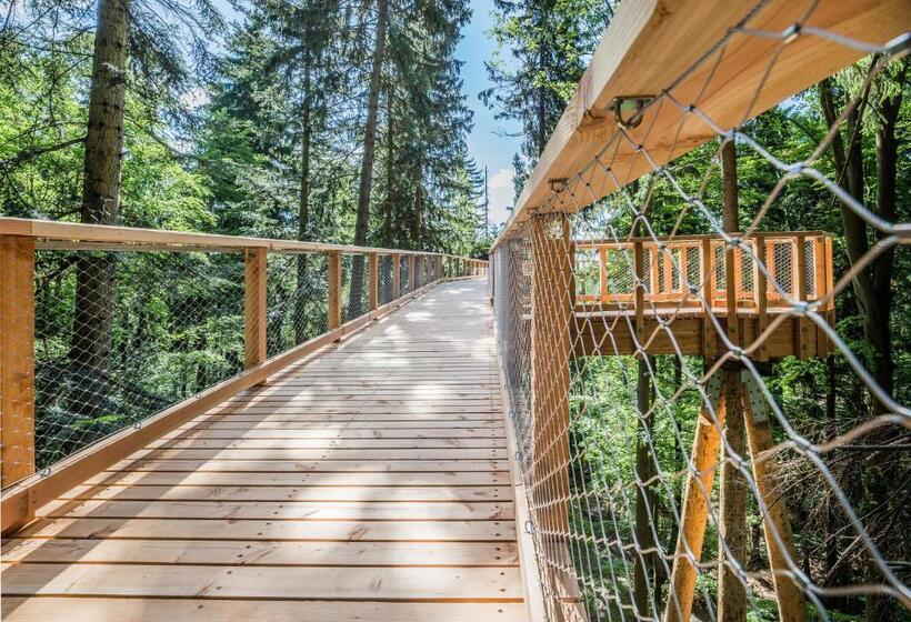 이코노미 룸, Ski Hotel Svoboda Nad Upou