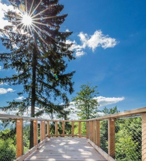 이코노미 룸, Ski Hotel Svoboda Nad Upou