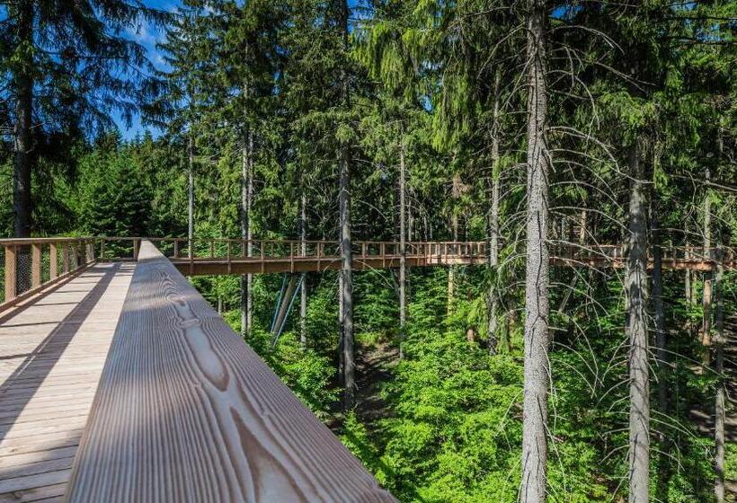 이코노미 룸, Ski Hotel Svoboda Nad Upou