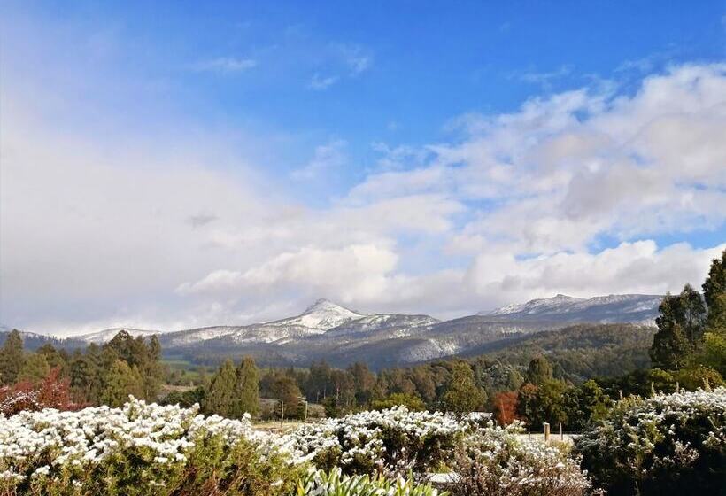 شقة سوبريور غرفة واحدة, Maydena Mountain Cabins