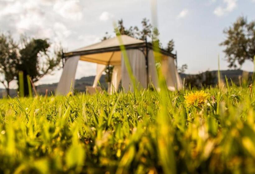 ガーデンビュースタンダードルーム, Le Bumbarelle