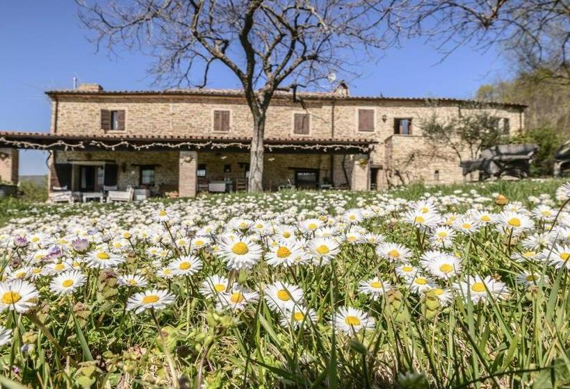 ガーデンビュースタンダードルーム, Le Bumbarelle