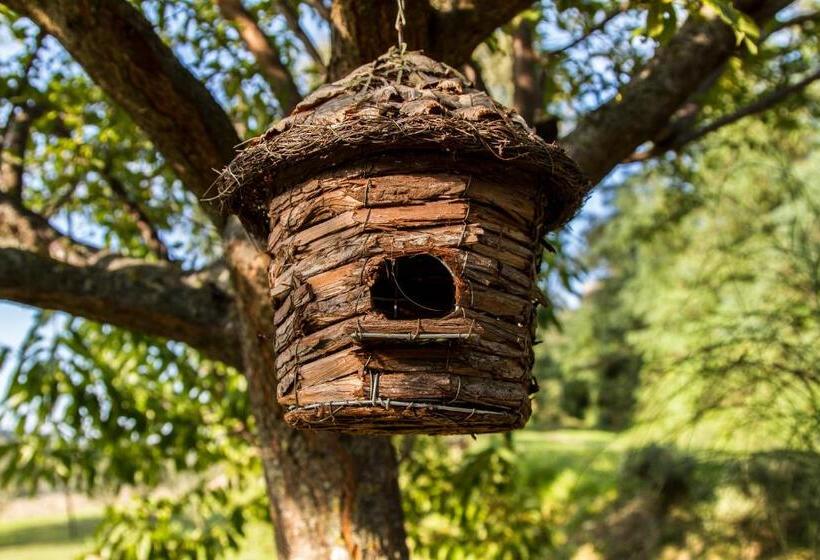 スタンダードルーム, Le Bumbarelle