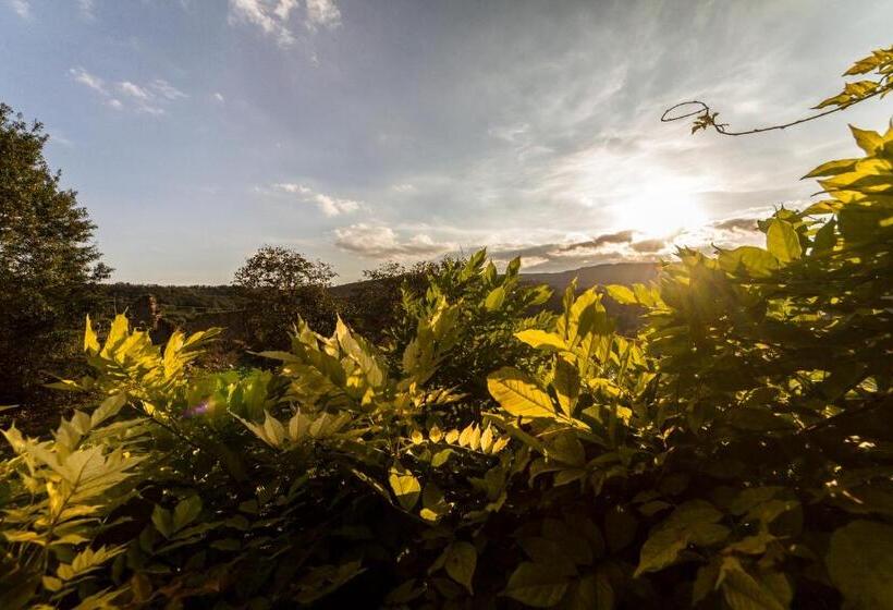 スタンダードルーム, Le Bumbarelle