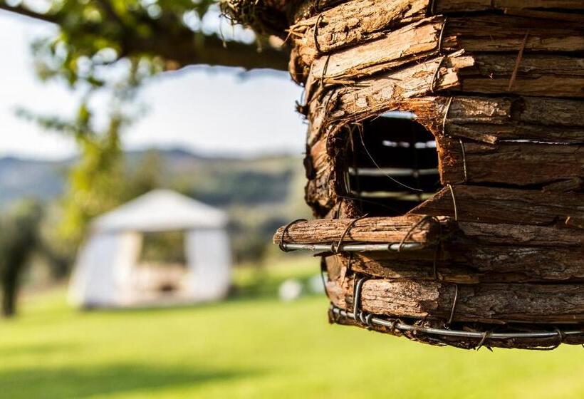 スタンダードルーム, Le Bumbarelle