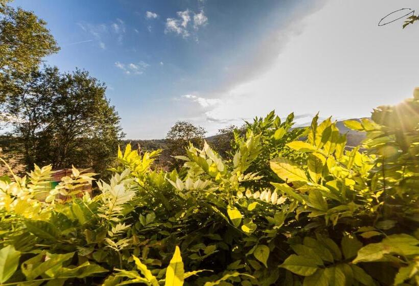 スタンダードルーム, Le Bumbarelle