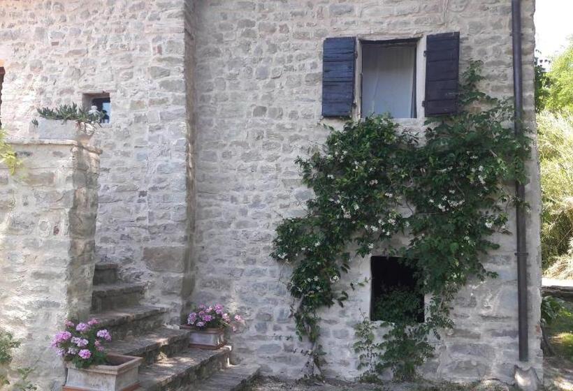 スタンダードルーム, Le Bumbarelle