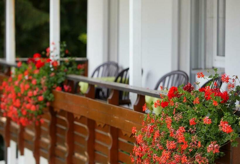 싱글 디럭스 룸, Tannmühle Hotel Und Restaurant Gmbh