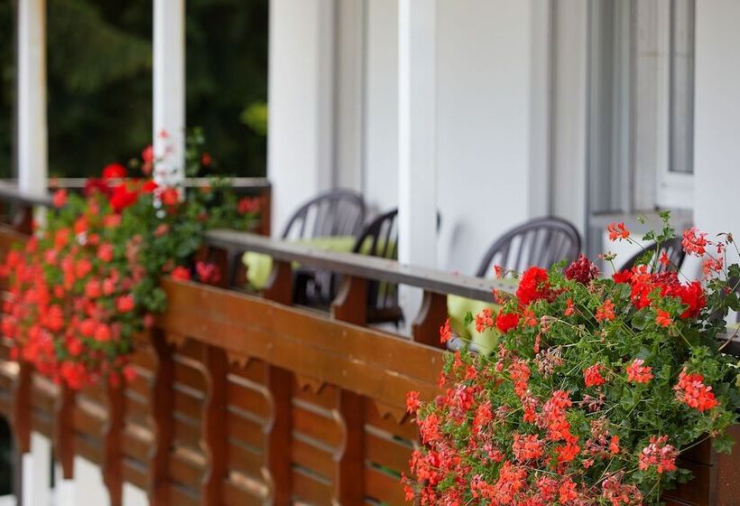 Номер Deluxe Одноместный, Tannmühle Hotel Und Restaurant Gmbh