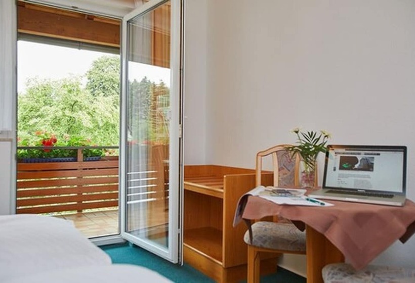 싱글 디럭스 룸, Tannmühle Hotel Und Restaurant Gmbh