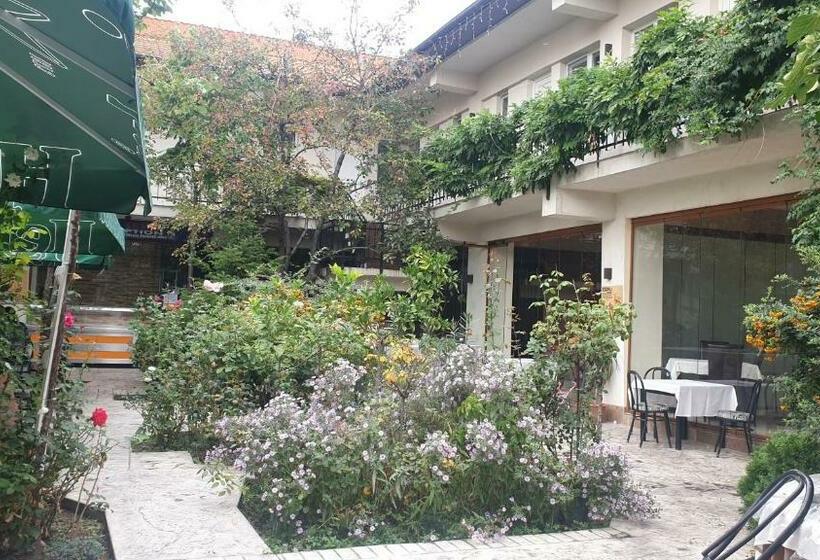 חדר דחוקס עם מיטת קינג, Pensiunea Drobeta