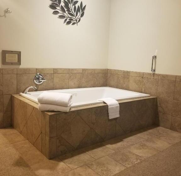 غرفة قياسية سرير كينج, Grand View Inn & Suites