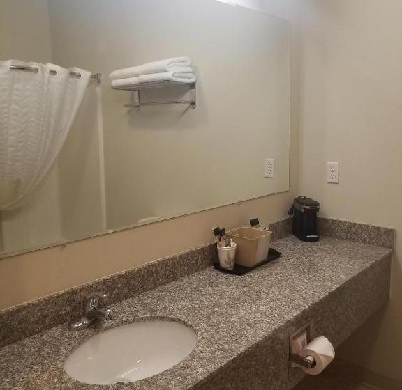 غرفة قياسية سرير كينج, Grand View Inn & Suites