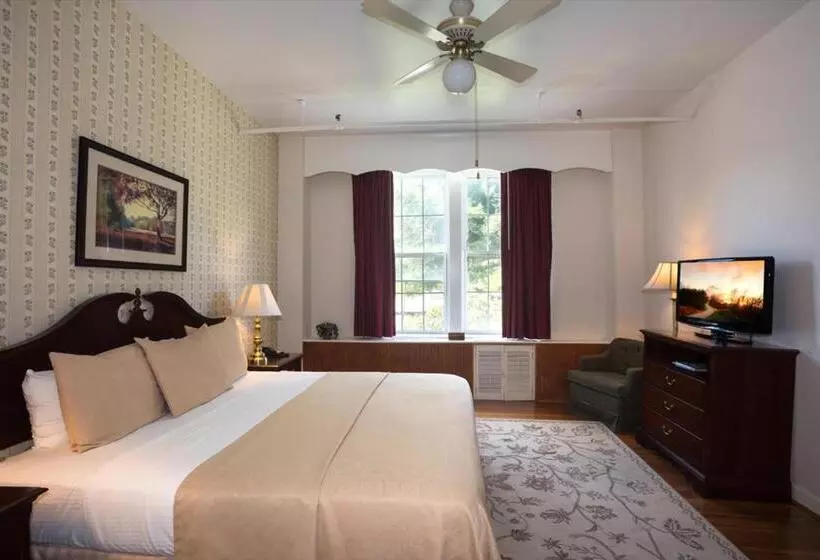 キングサイズベッドのデラックスルーム, Green Park Inn