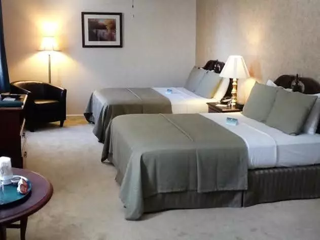 デラックスルーム, Green Park Inn