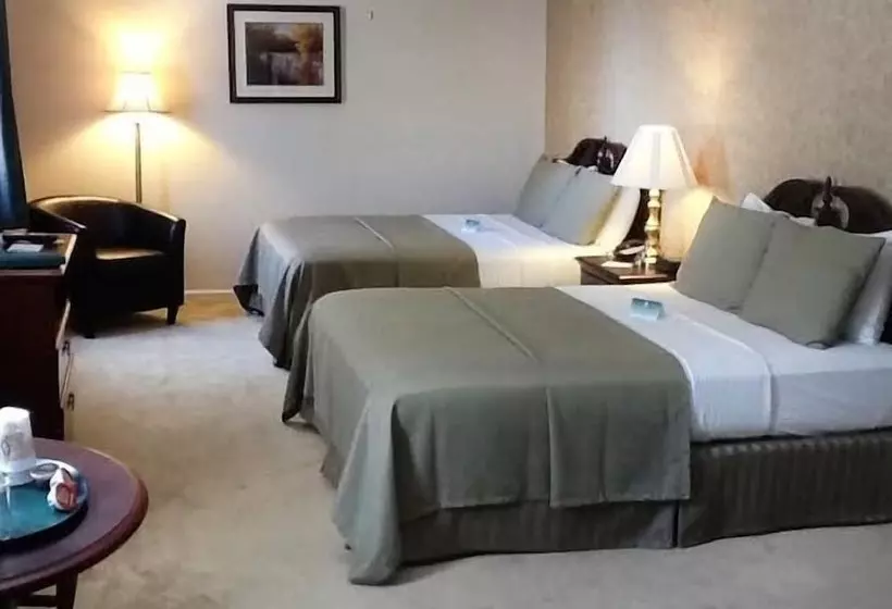 デラックスルーム, Green Park Inn