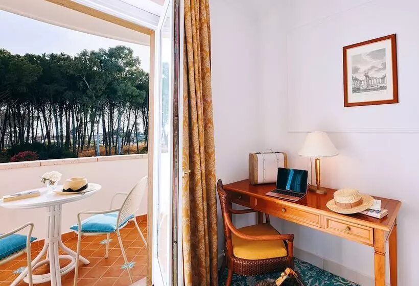 اتاق سوپریور, Oleandri Resort Paestum