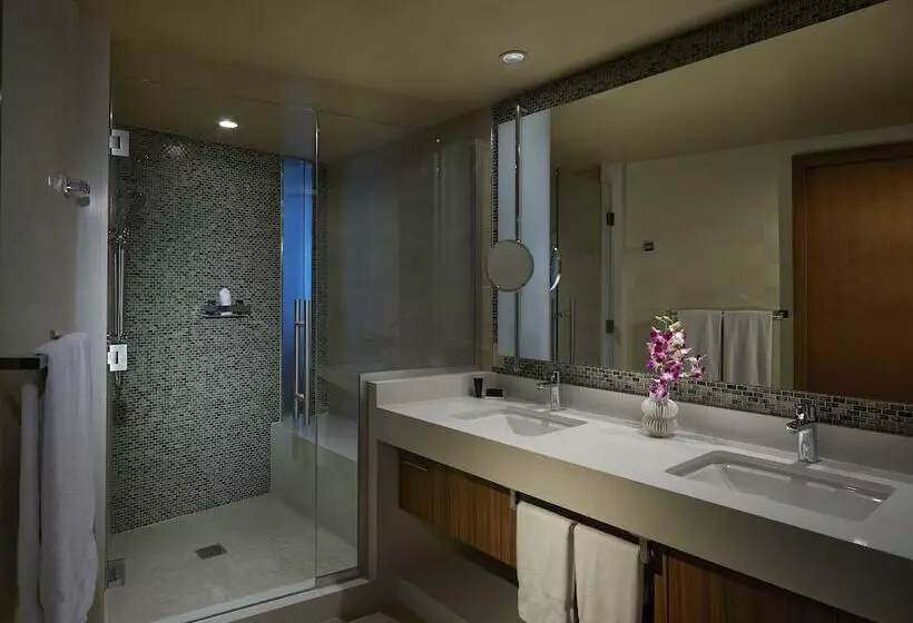 デラックスルーム, Seminole Hard Rock Hotel And Casino Tampa