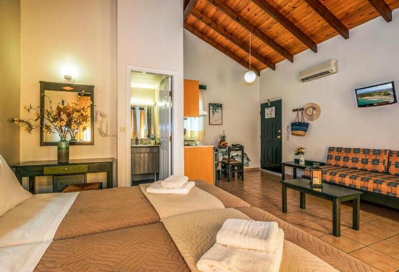 Студия Стандарт, Theos Holidays Apartments