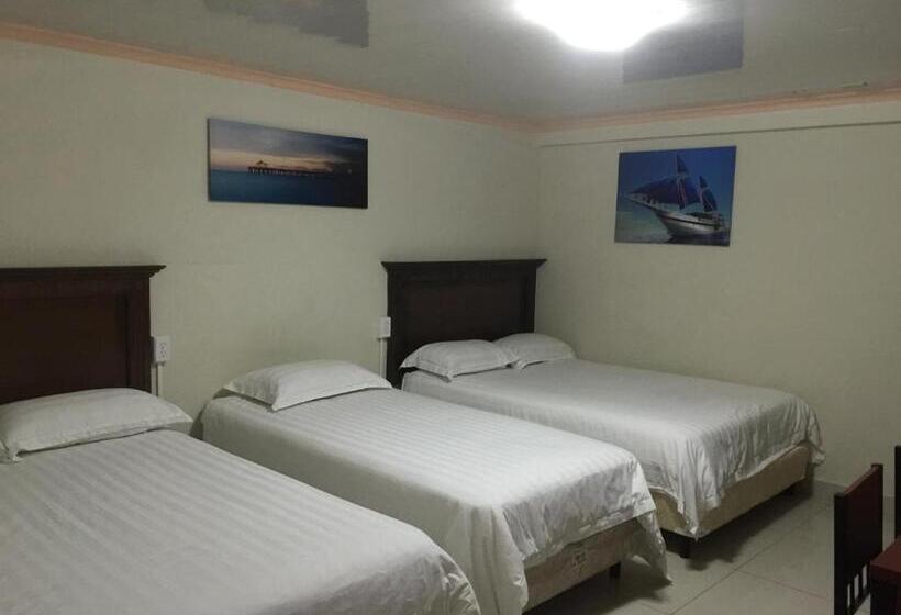 ベーシックトリプルルーム, Lleras