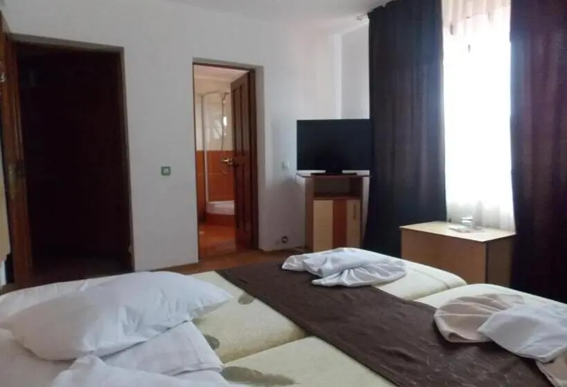 Standard-huone, Pensiunea Paradis