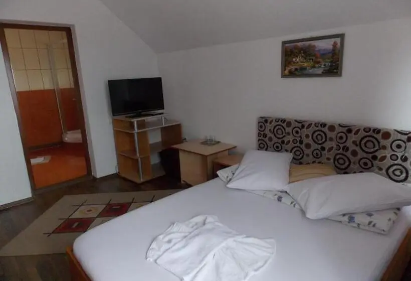 Standard-huone, Pensiunea Paradis