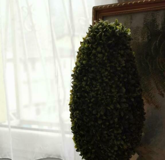 اتاق استاندارد چهار تخته, Rosi