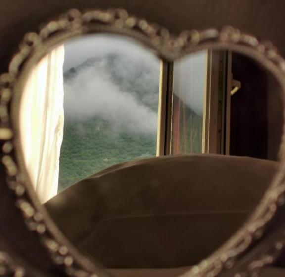 اتاق استاندارد, Rosi