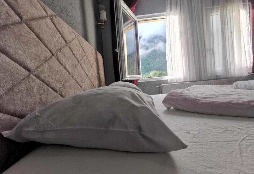 اتاق استاندارد, Rosi