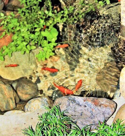 Casa 1 Dormitori, Tsubakian Kyoto Vacation Stay 29429v