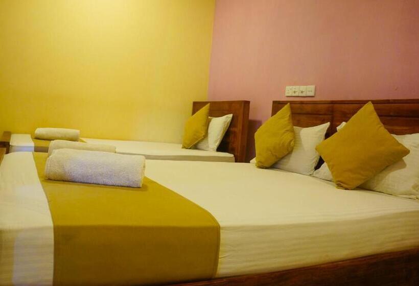 חדר סטנדרט, Araliya