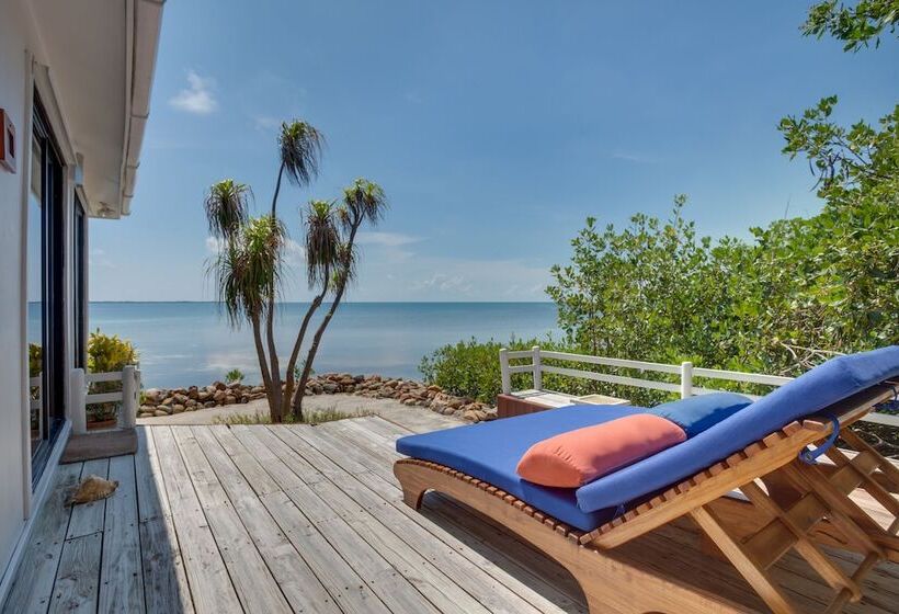 חדר פנטהאוז, Royal Belize, A Muy Ono Resort