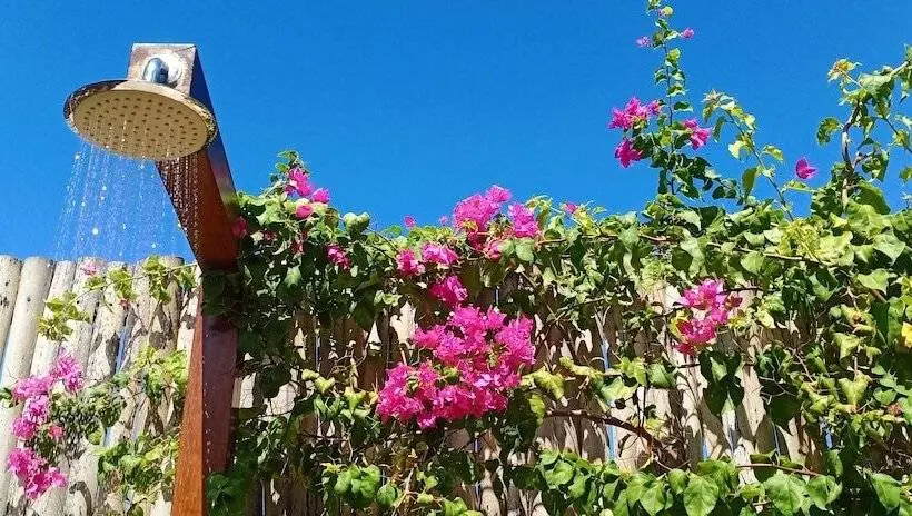 デラックスバンガロー, Loedi Bungalows Rote