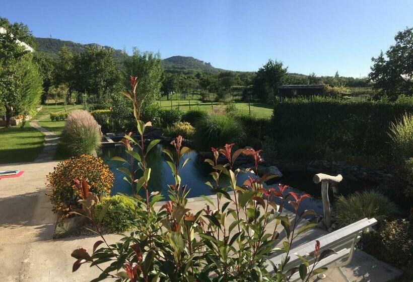 غرفة قياسية, Penzion Primášé