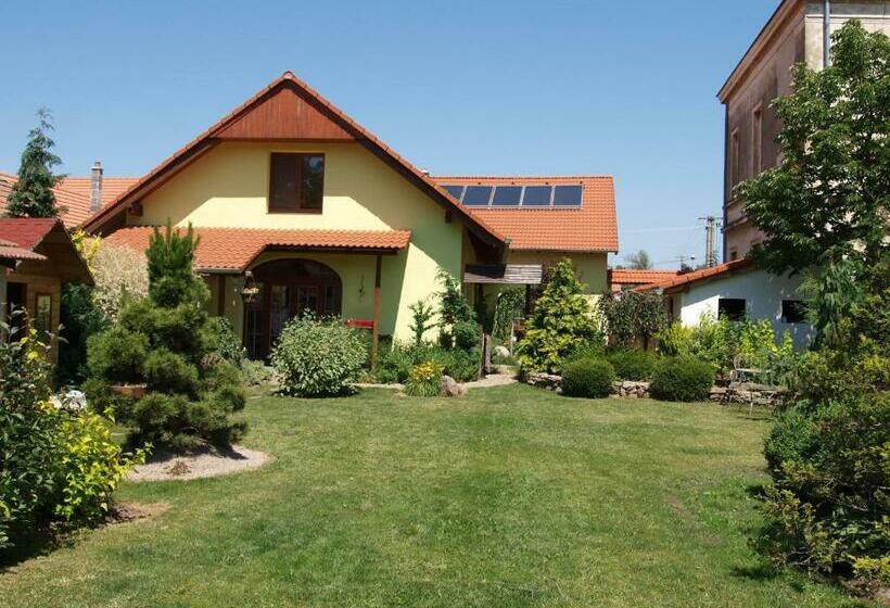 غرفة قياسية, Penzion Primášé