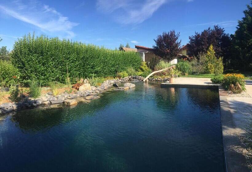 غرفة قياسية ثلاثية, Penzion Primášé