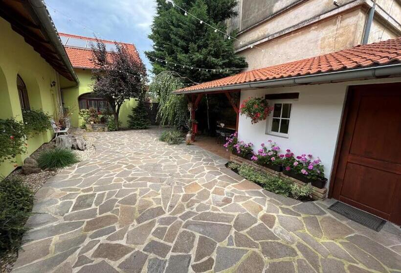 Апартаменты 1 Спальня с Террасой, Penzion Primášé