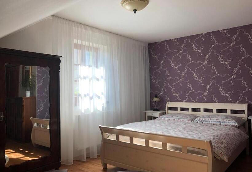 منزل غرفة نوم واحدة, Penzion Primášé