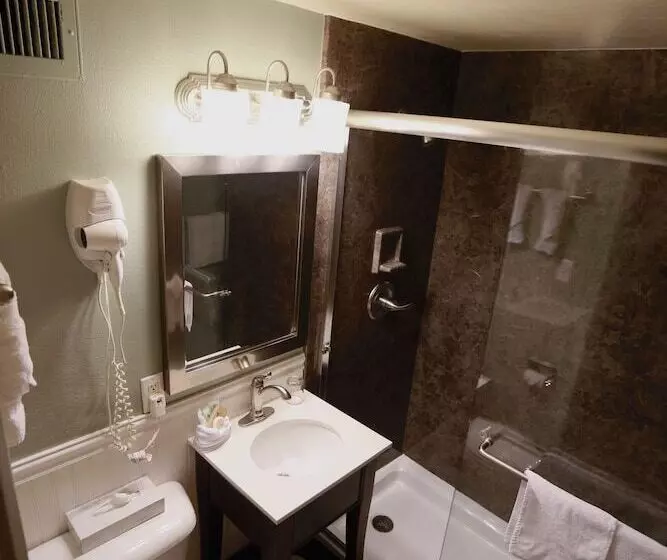 اتاق استاندارد با 2 تخت دوبل, Dude Rancher Lodge